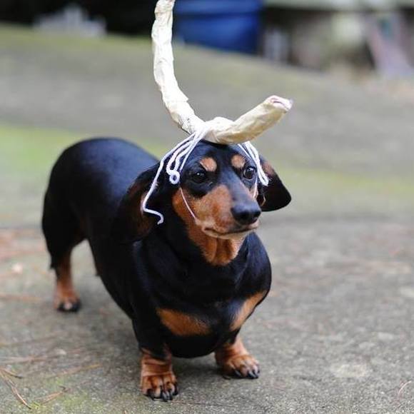 Meet your Posher, Christine - Picture 1 of 1